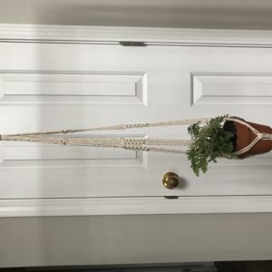 Sansevieria Plant Hanger